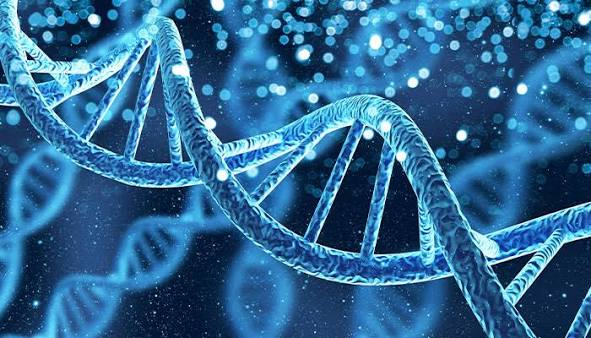 CJC-1295 & Ipamorelin: A Beginner's Guide to Growth Hormone Peptides